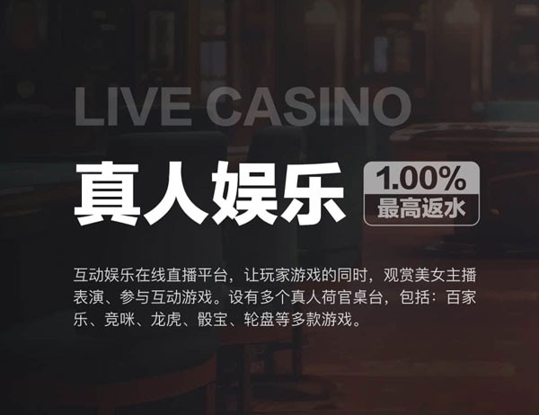 游戏对战实景